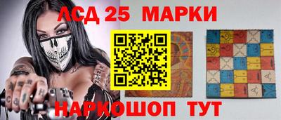 шишки Новодвинск