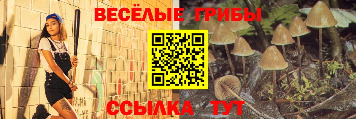 Когалым  Галлюциногенные грибы мухоморы  Вход с VPN 